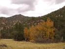 photo thumbnail #12