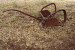 photo thumbnail #13