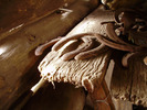 photo thumbnail #14