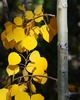 photo thumbnail #14