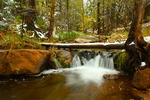 photo thumbnail #3