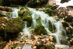 photo thumbnail #10