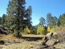 photo thumbnail #1