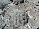 photo thumbnail #6