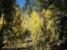 photo thumbnail #10