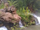 photo thumbnail #5