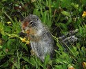 photo thumbnail #11