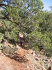 photo thumbnail #2