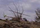 photo thumbnail #6