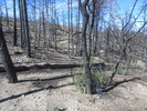 photo thumbnail #15