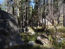 photo thumbnail #8