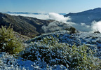 photo thumbnail #2