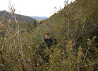 photo thumbnail #4
