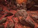 photo thumbnail #6