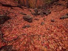 photo thumbnail #8