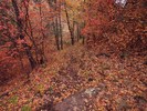 photo thumbnail #13