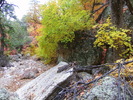 photo thumbnail #4