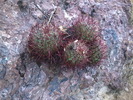 photo thumbnail #6
