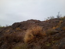photo thumbnail #14