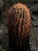 photo thumbnail #15