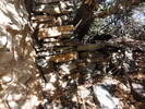 photo thumbnail #13