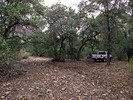 photo thumbnail #1