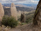 photo thumbnail #2