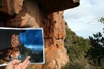 photo thumbnail #9
