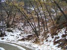 photo thumbnail #1