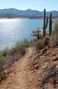 photo thumbnail #9