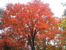 photo thumbnail #14