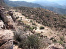 photo thumbnail #10