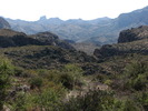 photo thumbnail #14