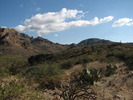 photo thumbnail #15