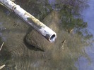 photo thumbnail #12