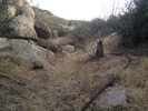 photo thumbnail #13