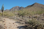 photo thumbnail #2