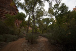 photo thumbnail #12