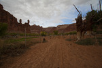 photo thumbnail #14