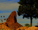 photo thumbnail #15