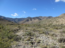 photo thumbnail #9