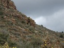 photo thumbnail #2