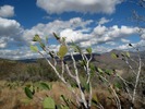 photo thumbnail #9