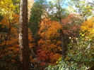 photo thumbnail #11