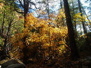 photo thumbnail #12