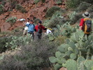 photo thumbnail #3