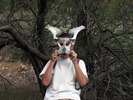 photo thumbnail #5