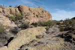 photo thumbnail #2