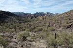 photo thumbnail #5