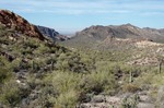 photo thumbnail #6